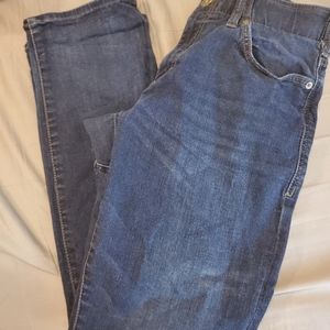 Lee mens jeans